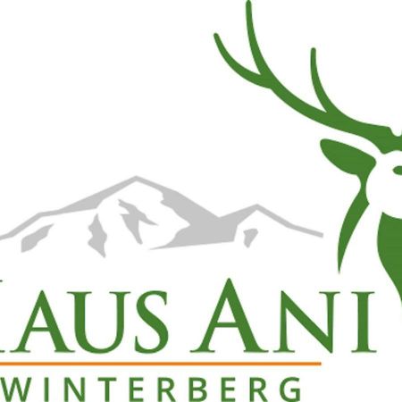 Villa Haus Ani Winterberg Exterior foto