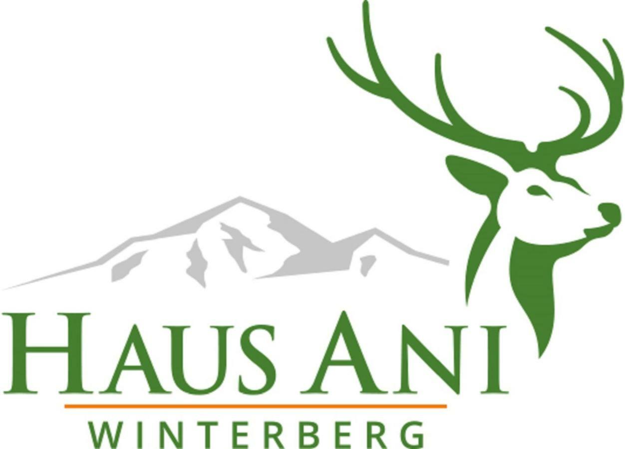 Villa Haus Ani Winterberg Exterior foto